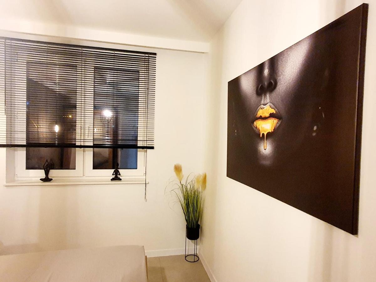 Konopnickiej 88 Cosy Apartment Σοσνόβιετς Εξωτερικό φωτογραφία