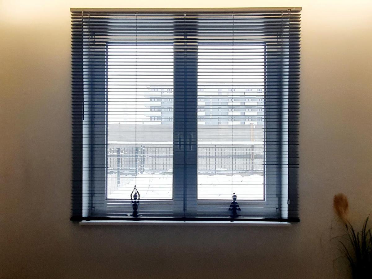 Konopnickiej 88 Cosy Apartment Σοσνόβιετς Εξωτερικό φωτογραφία